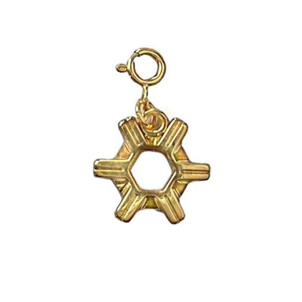 Pingente Agronomia Com Fecho