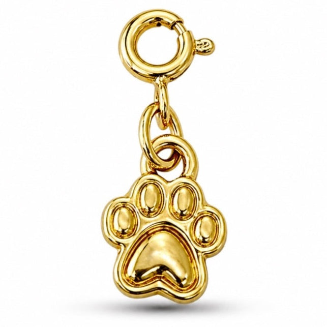 Pingente Pet Com Fecho