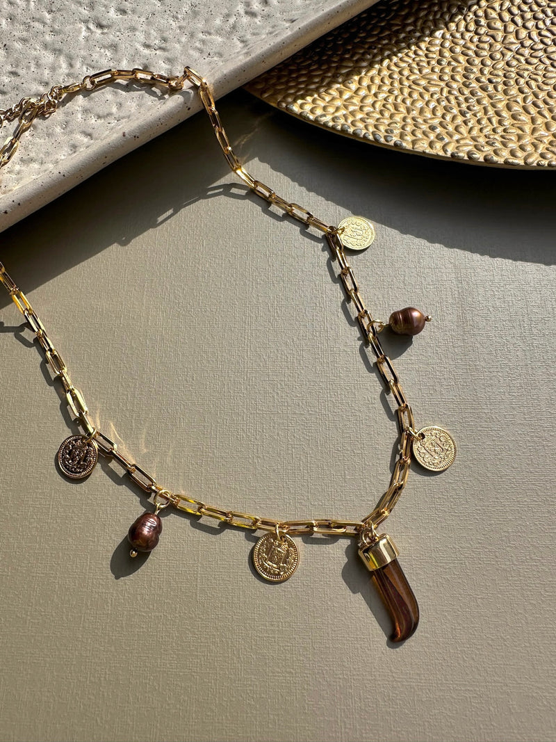 Colar Com Pingentes E Dente Marrom 45cm