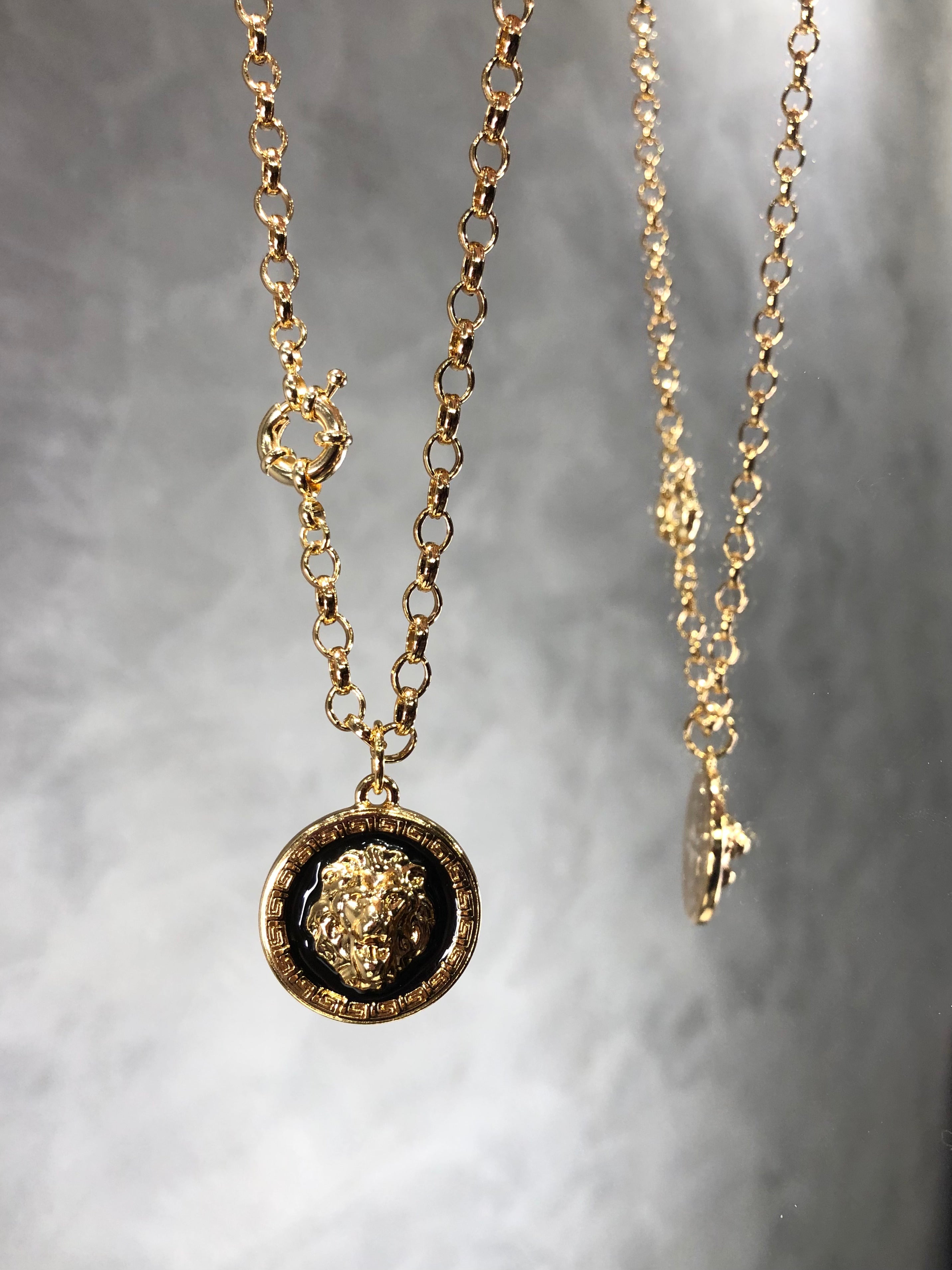Colar Corrente Mini Elos Com Medalha Leão Resinado 50cm