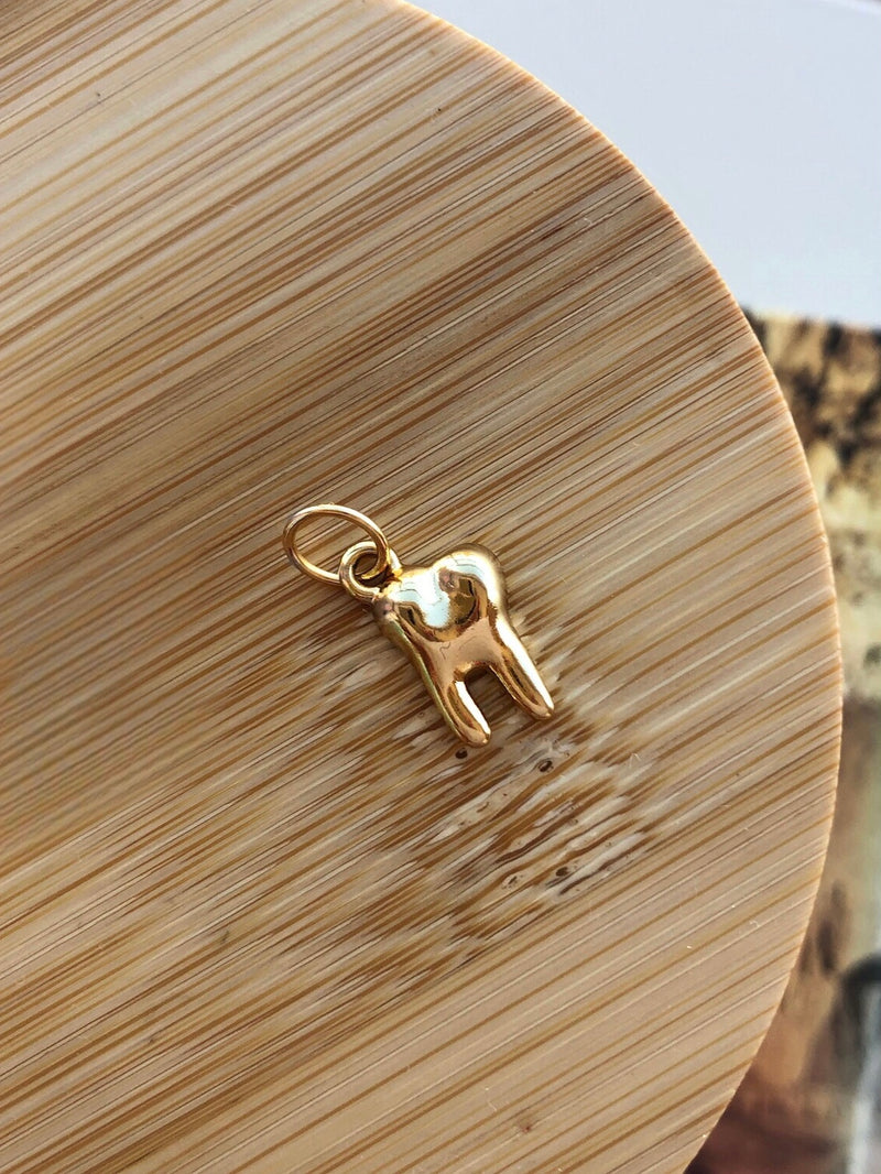 Pingente Dente Com Fecho