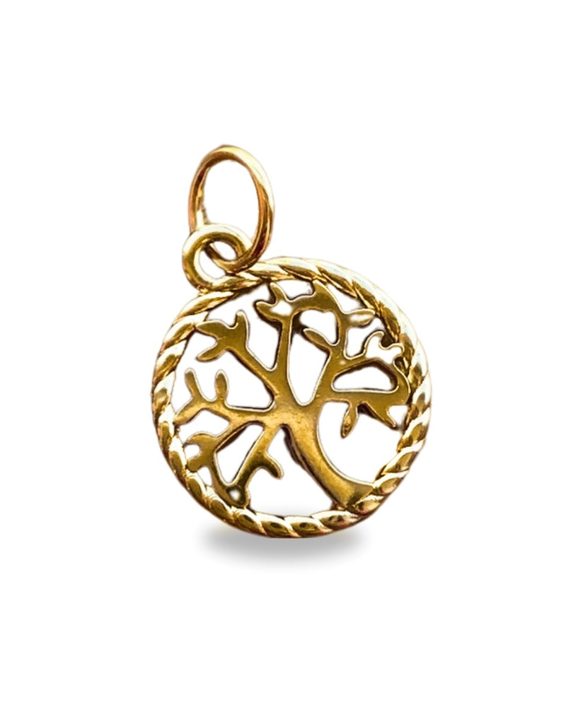 Pingente Árvore Da Vida Com Fecho