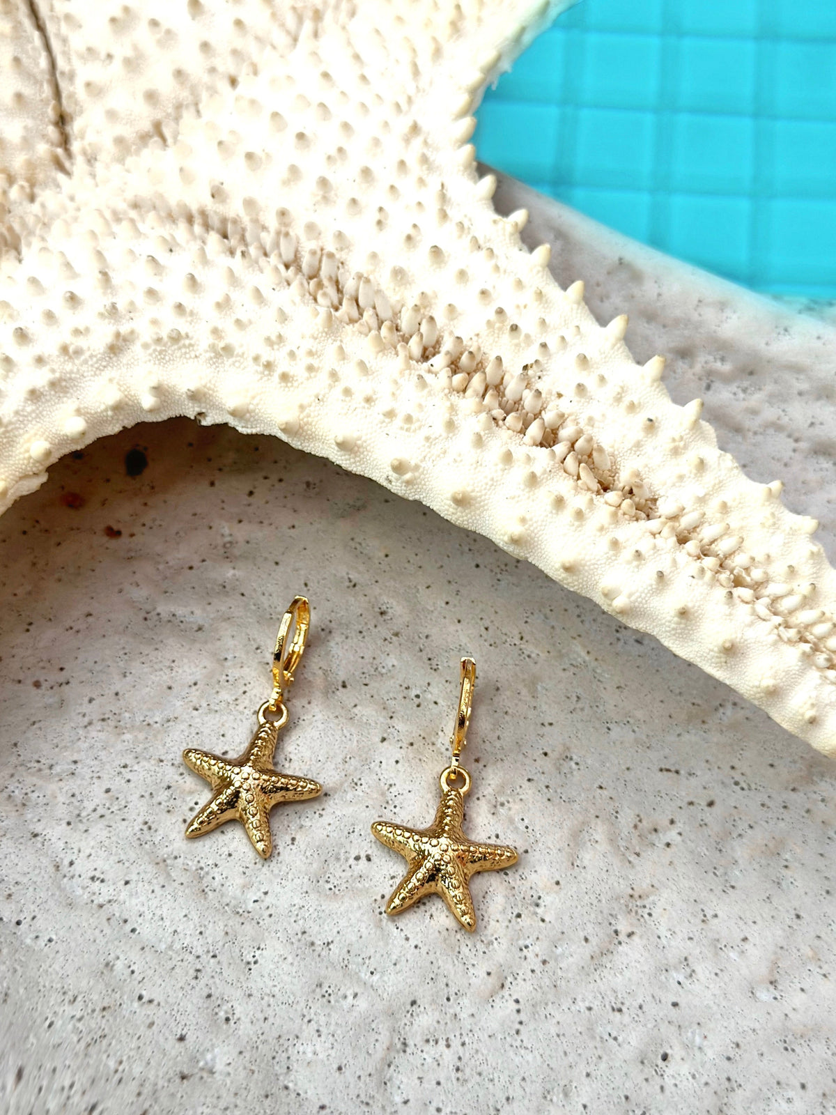 Brinco Linha Mar Estrela Banho Ouro 18k - Tiff Joias