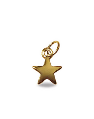 Pingente Estrela Com Fecho