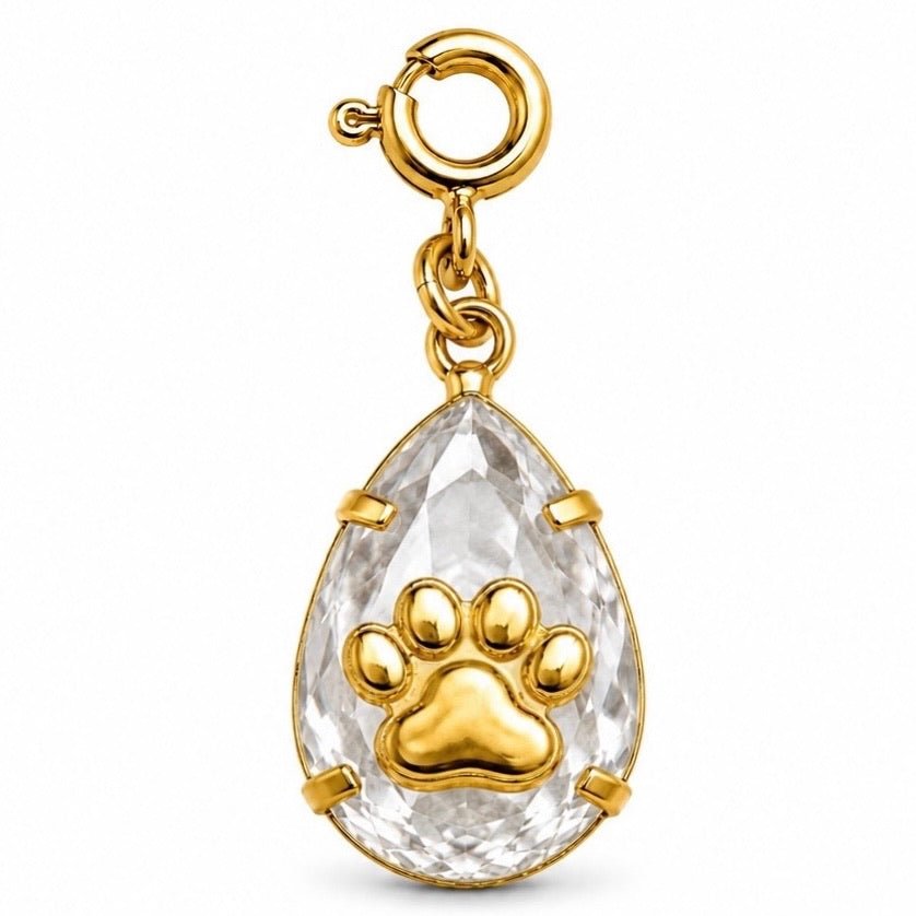 Pingente Cristal Pet Banho Ouro Com Fecho - Tiff Joias