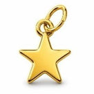 Pingente Estrela*