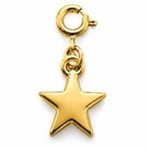 Pingente Estrela Com Fecho